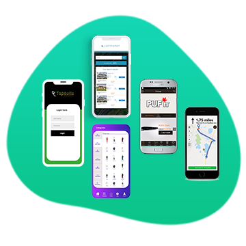 website development in reasonable price